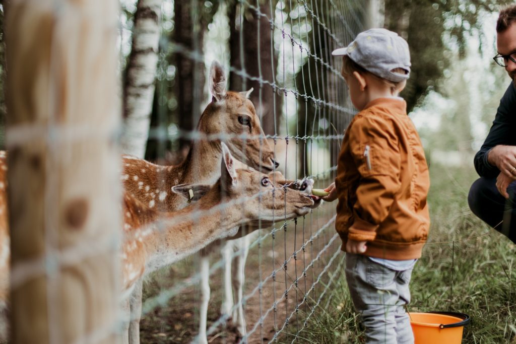 ZOOS HOLD ANIMALS CAPTIVE