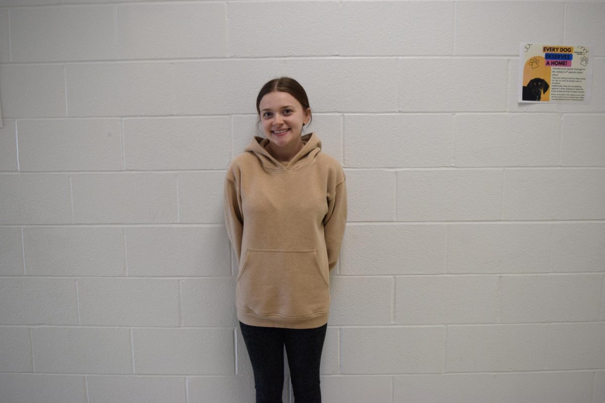 Angelina Donofrio, junior, is a multi-sport athlete.
