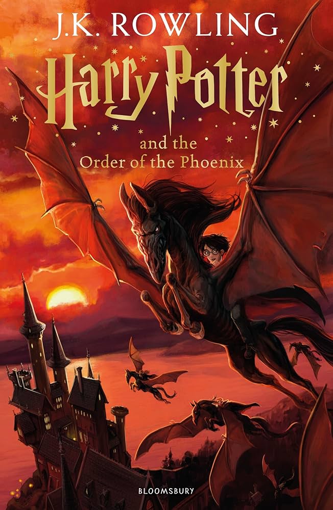 HARRY REBELS AGAINST UMBRIDGE