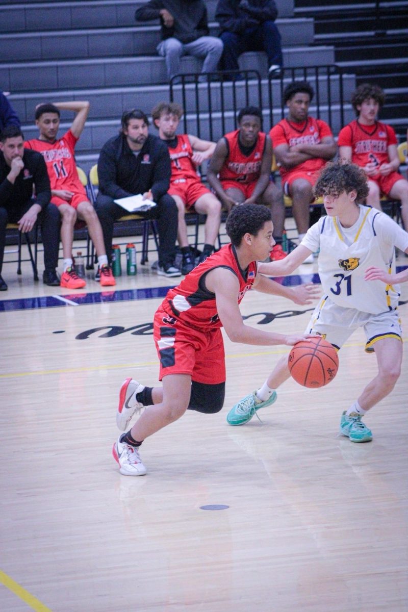 Talyzik Lowery, sophomore, is a point guard for the Cats.