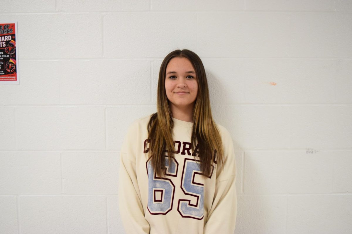 Delayna Latimer, sophomore, is applying to be a LINK leader for next school year.
