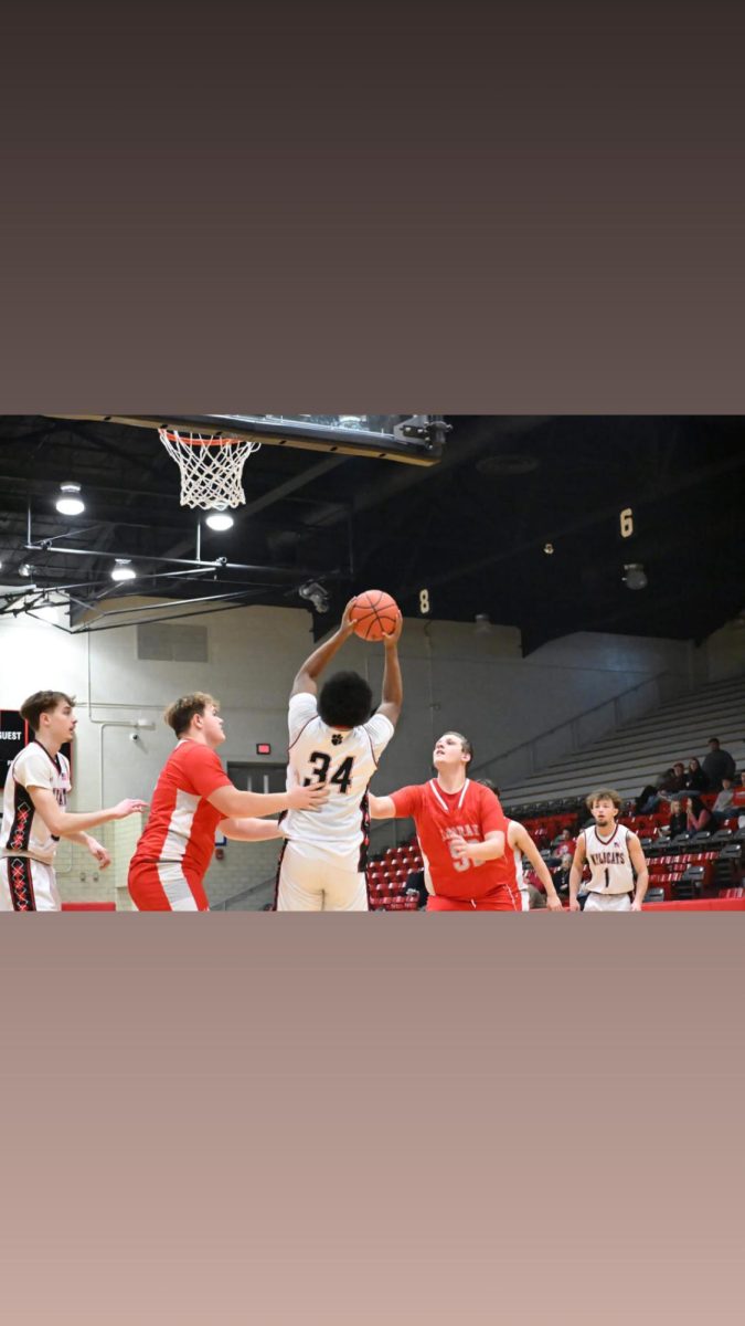 Gionni Stewart, junior, is a power forward for the Cats.