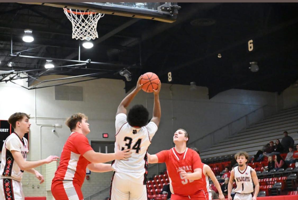 Gionni Stewart, junior, is a power forward for the Cats.
