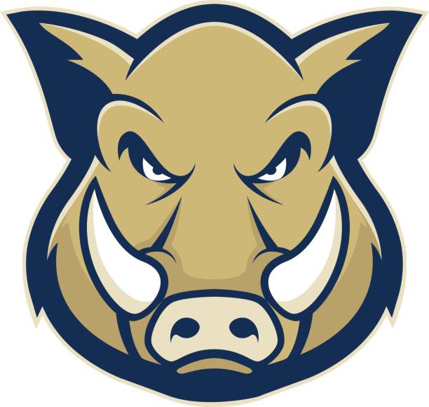 WELCOME TO THE WARTHOGS